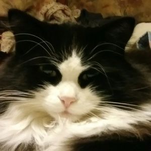 Meet your Posher, Judi